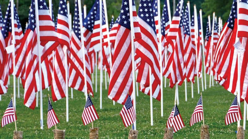 American Flags arranged in a grid to represent veterans lost in combat